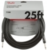 Fender FG25 Professional Fender FG25 Professional