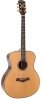 Arrow Platinium A SIT/RW Sitka/Rosewood Arrow Platinium A SIT/RW Sitka/Rosewood