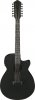 Ibanez AEG1221-BOT Ibanez AEG1221-BOT
