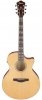 Ibanez AE170 NTR Ibanez AE170 NTR