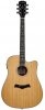 Arrow Gold D CE NT Natural Arrow Gold D CE NT Natural