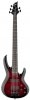 ESP LTD B-205DX Red Burst ESP LTD B-205DX Red Burst