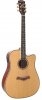 Arrow Platinum D-CE Sitka Mahogany Arrow Platinum D-CE Sitka Mahogany