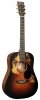 Martin D Jr-E StreetLegend Burst Martin D Jr-E StreetLegend Burst