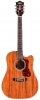 Guild D-120CE NAT Guild D-120CE NAT