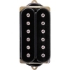 DiMarzio DP 156FBK Humbucker From Hell DiMarzio DP 156FBK Humbucker From Hell